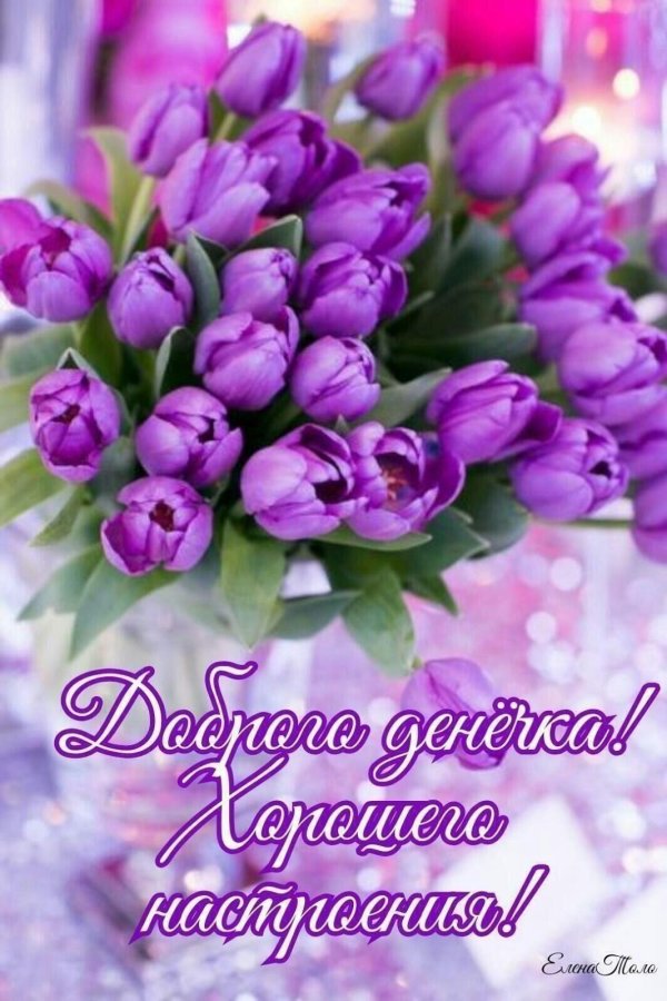 доброе весеннее утро