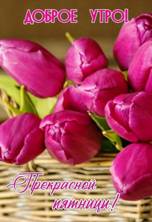 букет тюльпан