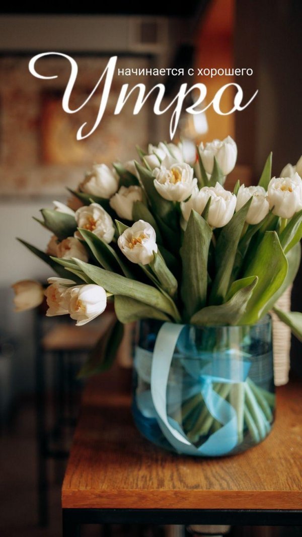 доброе саратовское утро