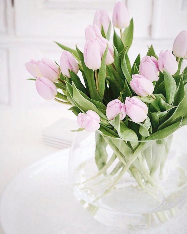 букет тюльпанов