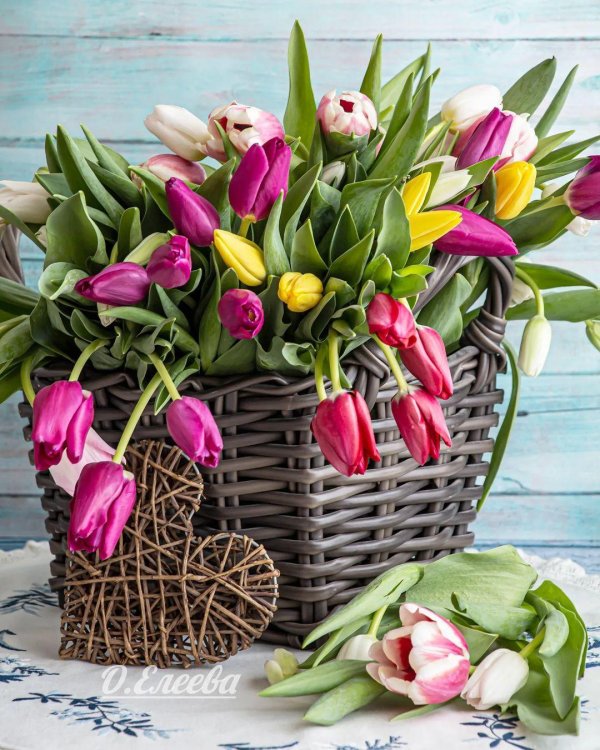 букет цветов тюльпанов