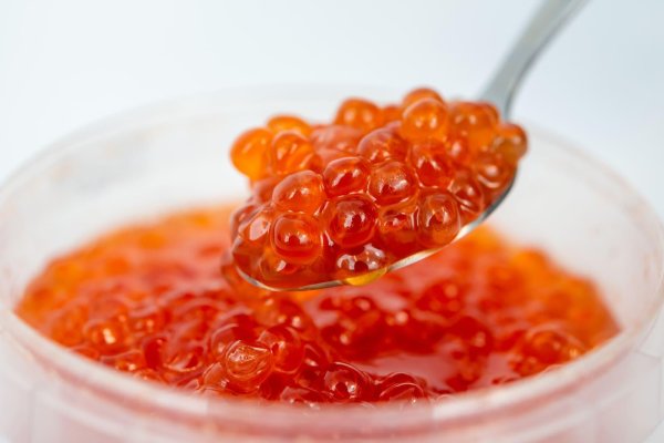 икра дикого лосося