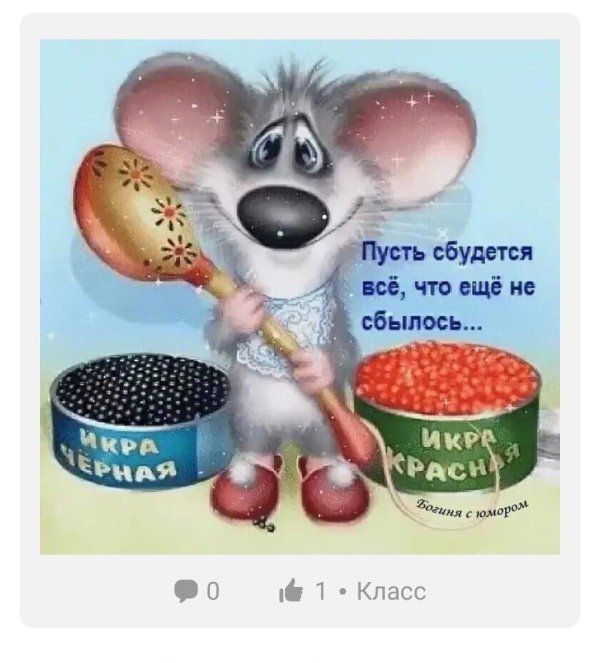 жизнь удалась