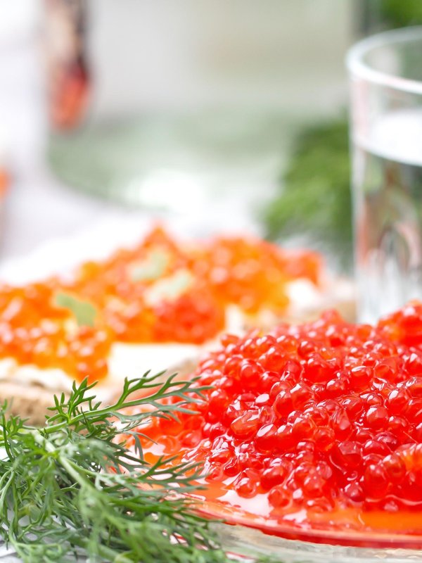 рыба и икра