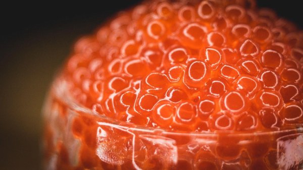 имитация красной икры