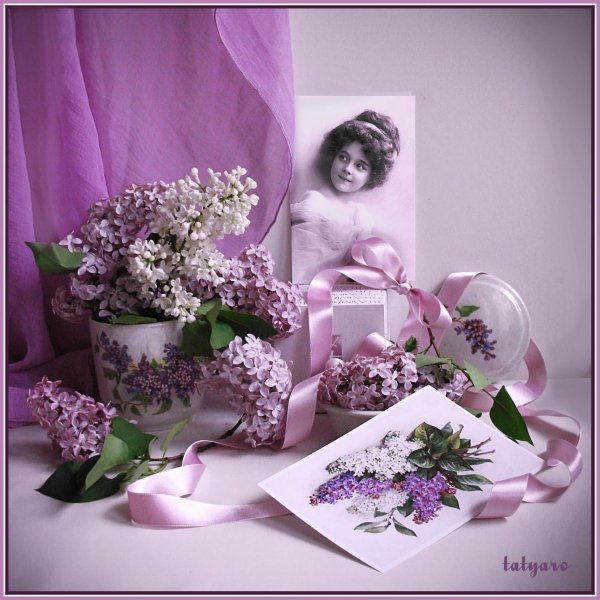 открытка с сиренью