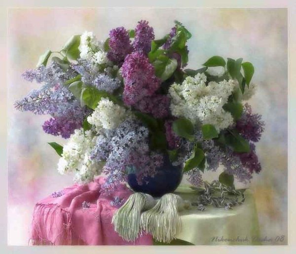 букет сирени