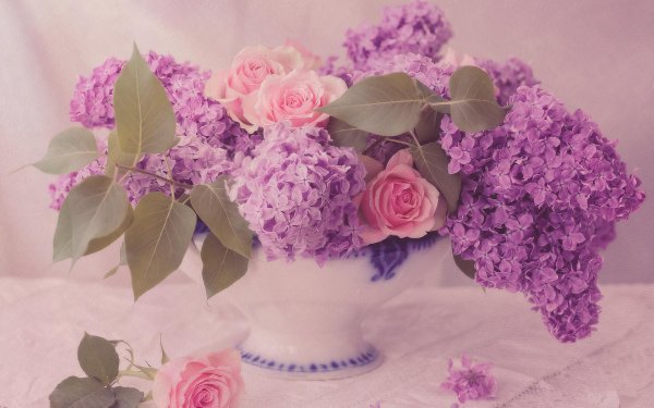 сирень георгий свиридов