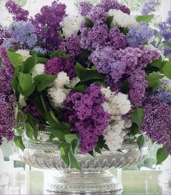 букет сирени