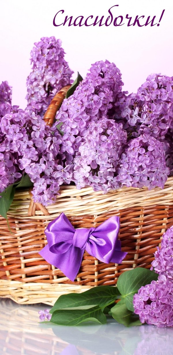 букет сирени