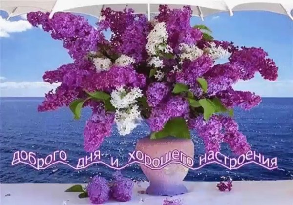 доброе утро с сиренью