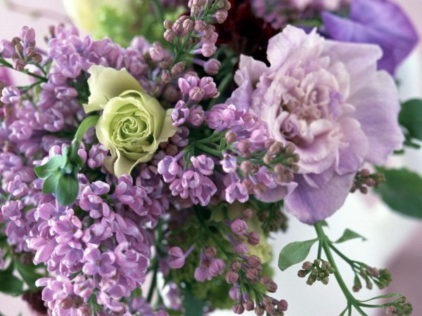 букет цветов сиреневый