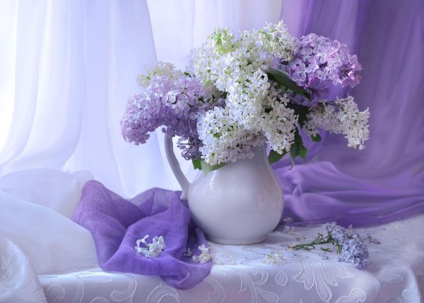 эмма молвед натюрморт с сиренью