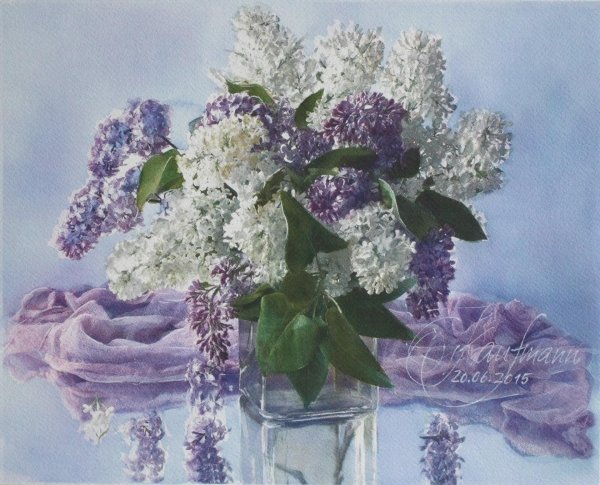 натюрморт с сиренью