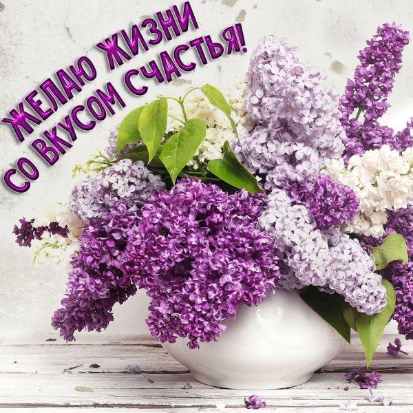 доброе утро с сиренью