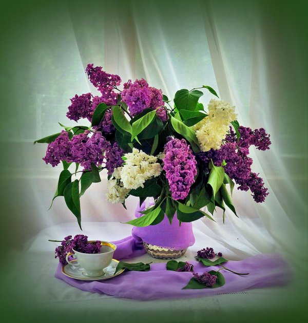 илья репин натюрморт букет сирени