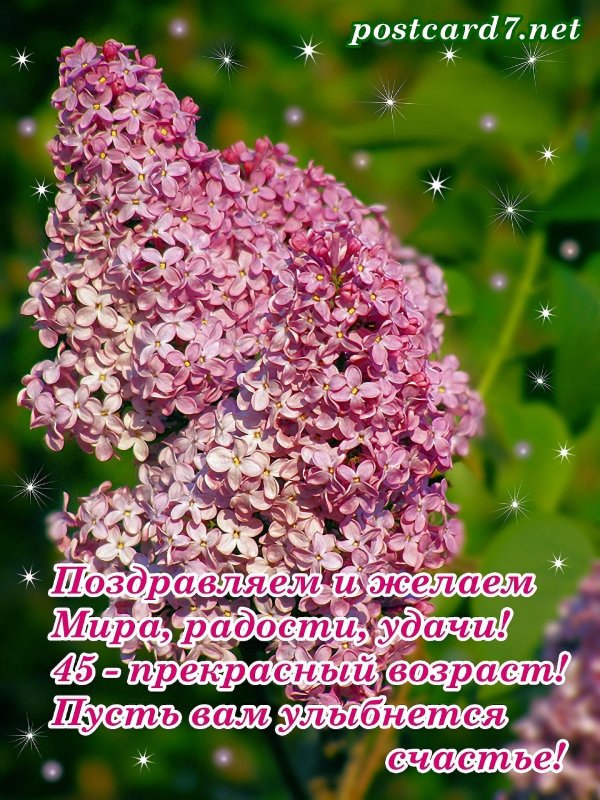 первое мая сирень