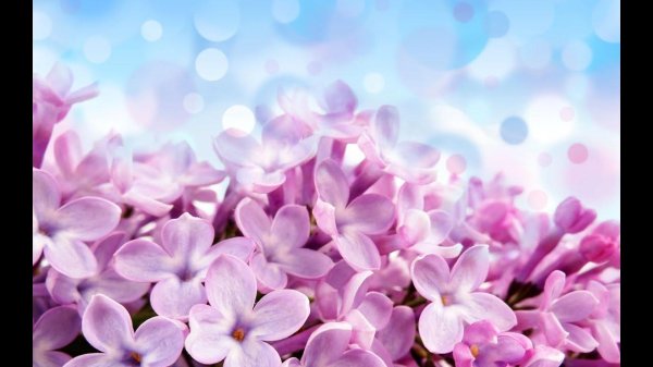 фон весенний