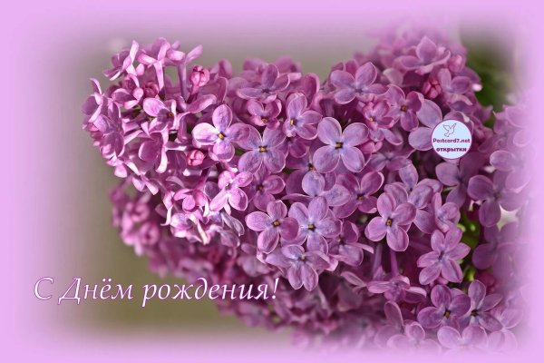 с днем рождения с сиренью