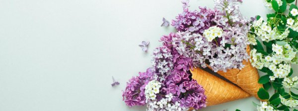 мороженое из сирени игорь северянин