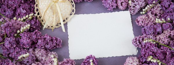 фон с сиренью