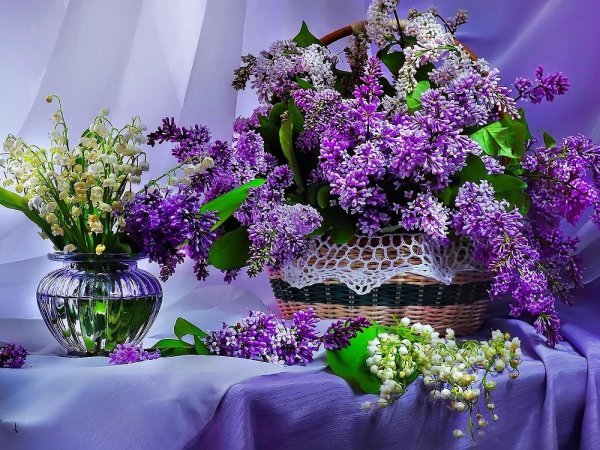 художник бузин сирень