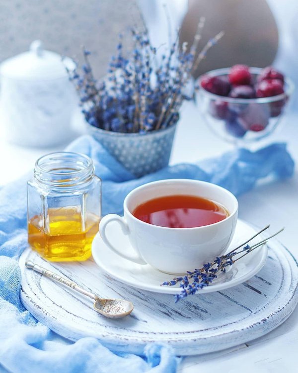 лаванда чай