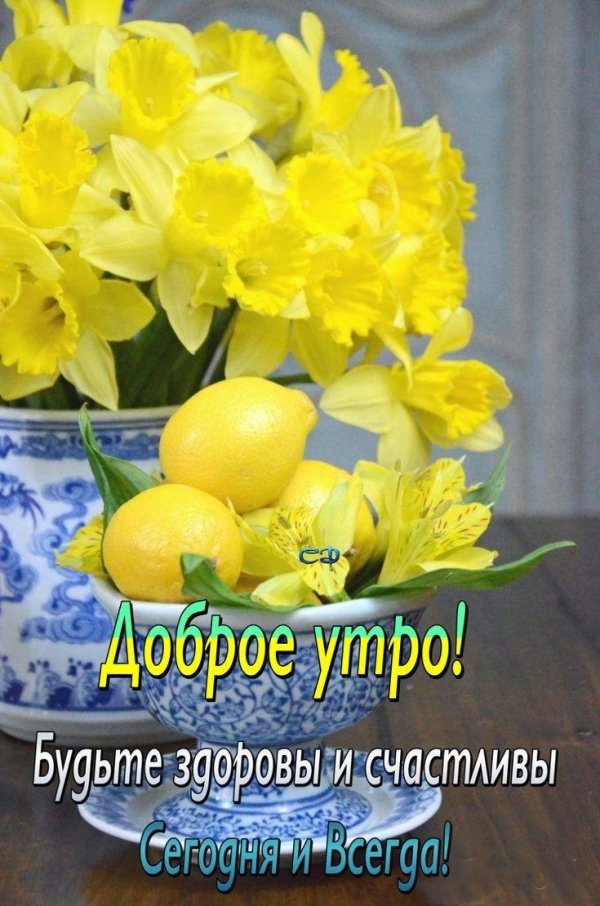 доброе утро счастливого