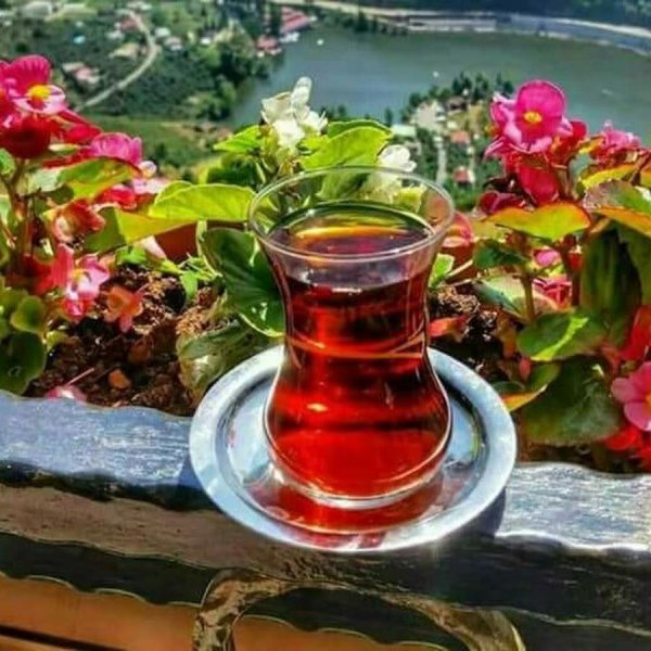 турецкие чаи