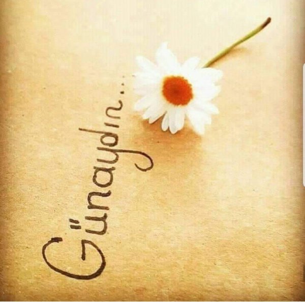 спасибо на турецком языке