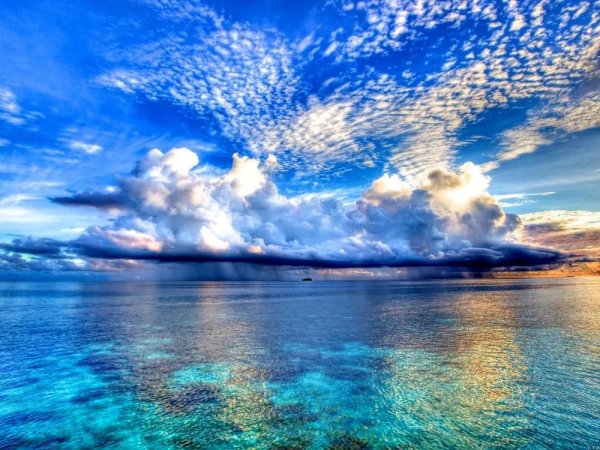 красивый океан