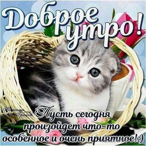 с пожеланием доброго утра