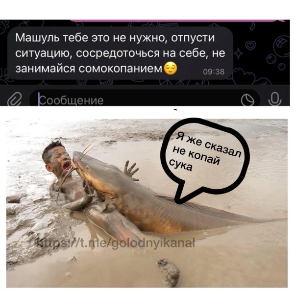 огромная рыба