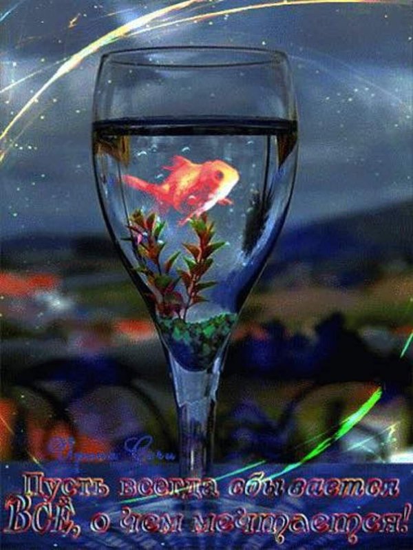 рыба в бокале