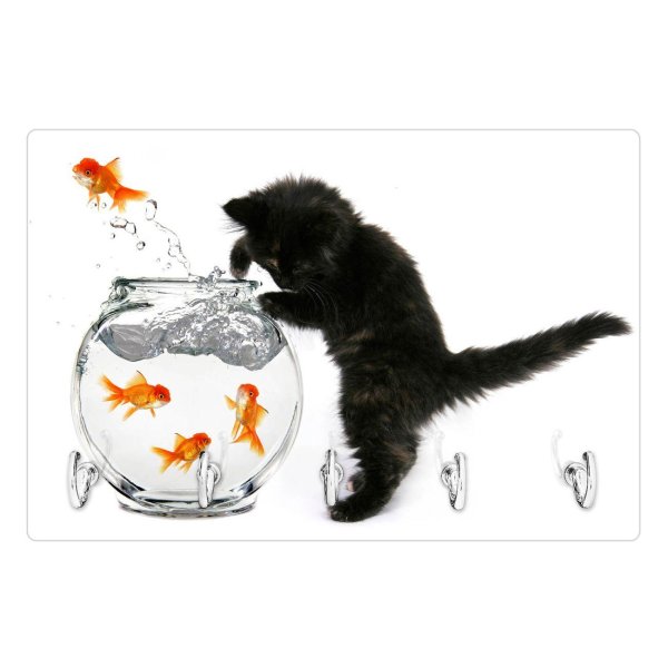 котенок и аквариум