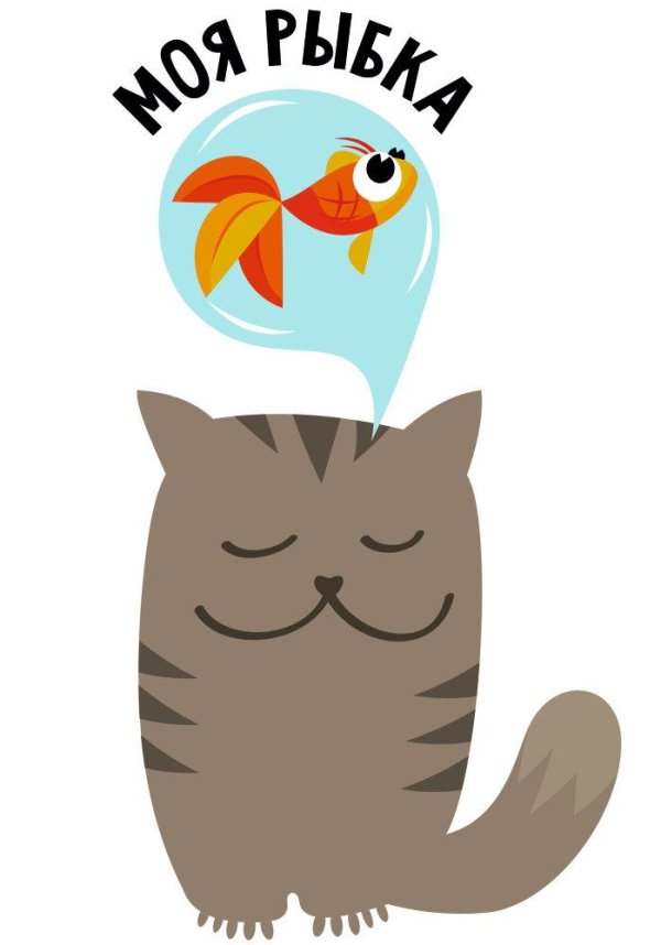 моему котику