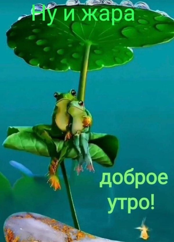 доброго утра веселые