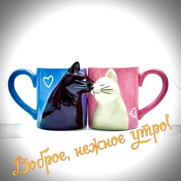 парные кружки