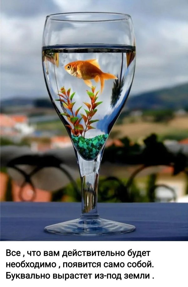 бокал аквариум