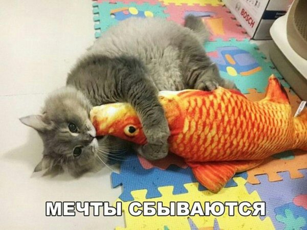 смешная рыбка