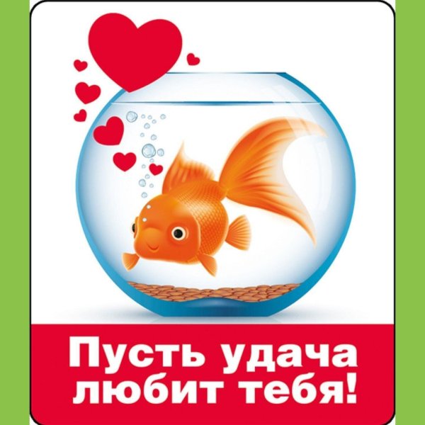 рыбки удачи