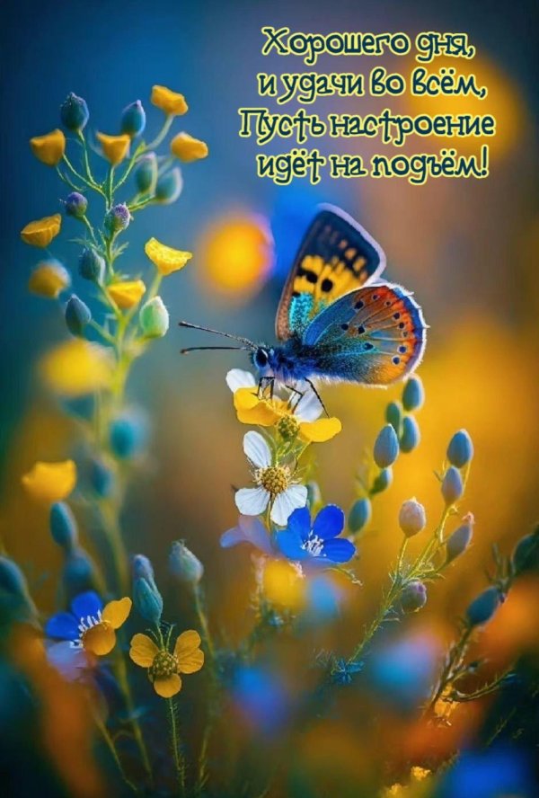 красивая цветок