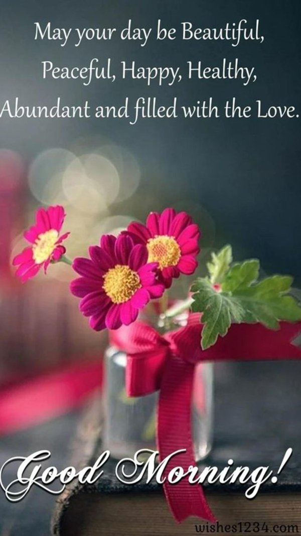 цветы утренние