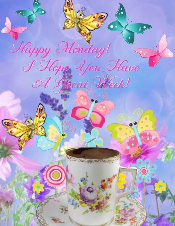 светлого радостного дня