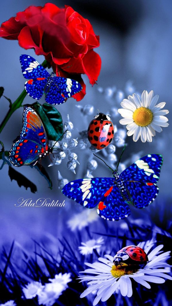 красивые яркие цветы