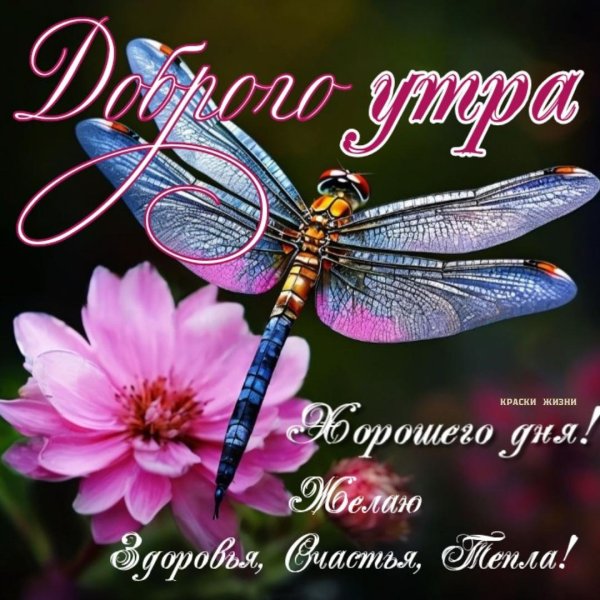 утра доброго летнего