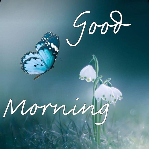 пейзаж с бабочками