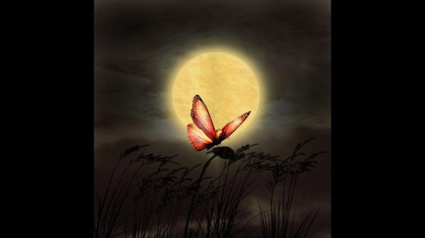 ночь спокойной ночи