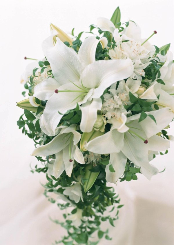 лилия венделла