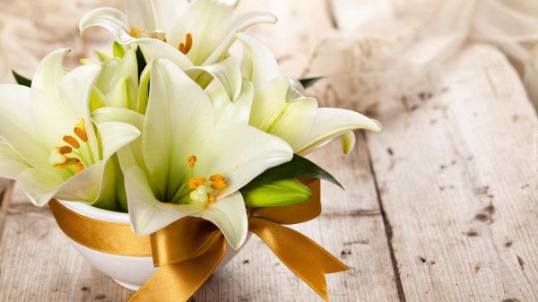 с днем рождения илона